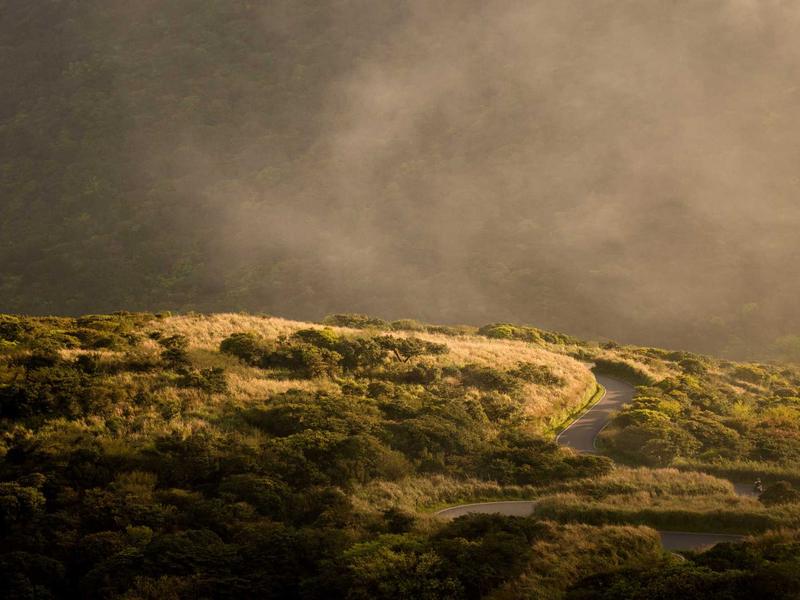 sudoku concentration boost screenshot 1